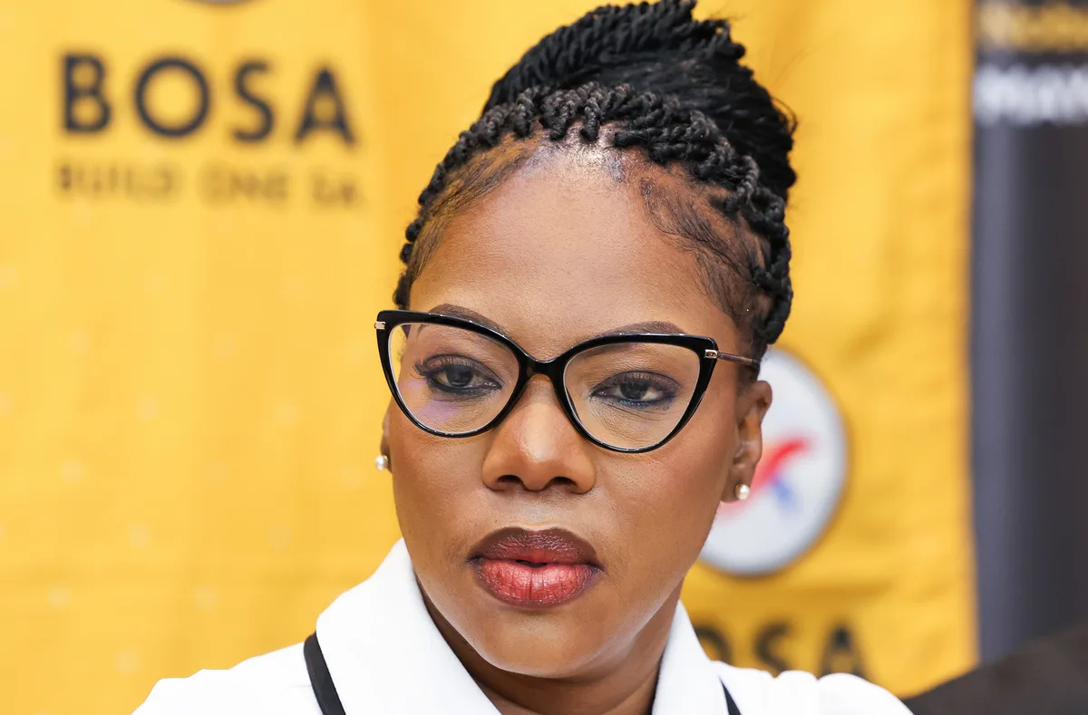 LOCAL ELECTIONS 2026: Bosa’s Joburg mayoral candidate defends ‘new’ parties