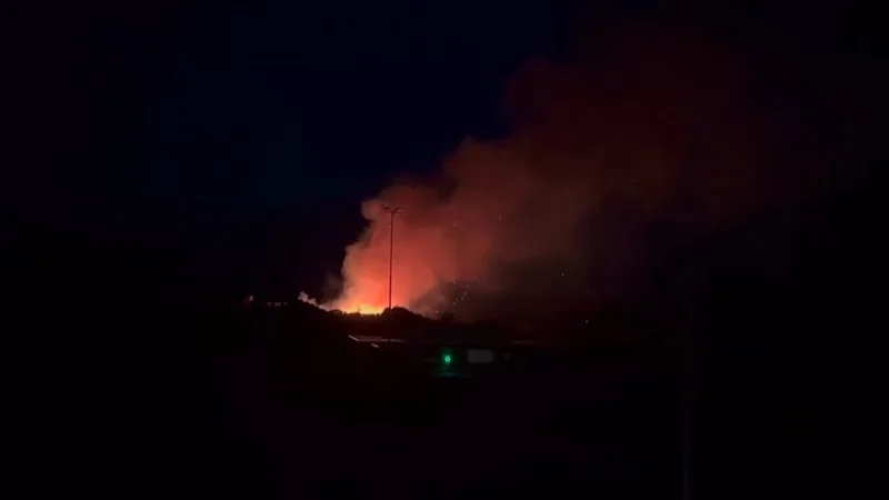 Fire rips through Clovelly headland