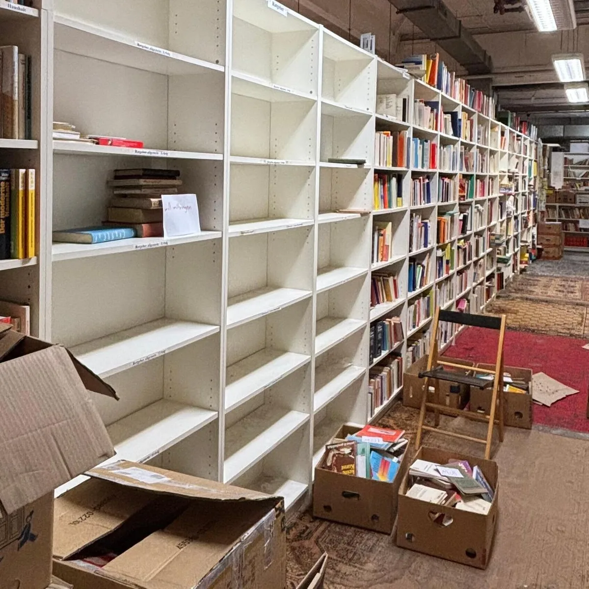 Urheberrecht - Verband: KI-Firmen kaufen deutsche Antiquariate leer