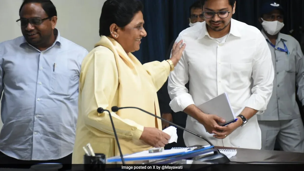 'Needs To Be More Mature': Mayawati On Nephew Akash Anand's Role In Party