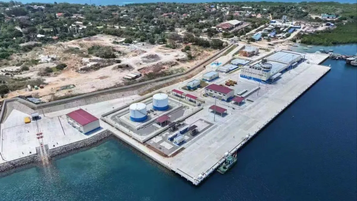 How a US$110 million fishing harbour in Tanzania serves China’s food and security goals
