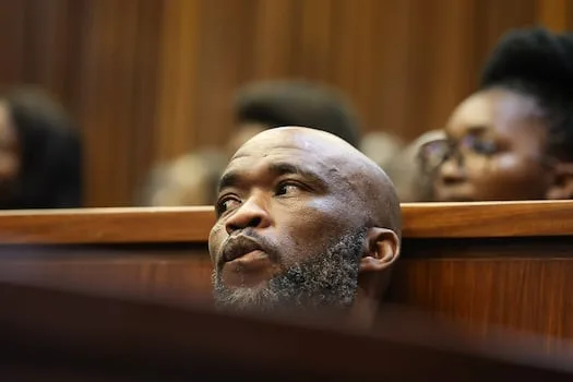 WATCH| ‘Cat’ Matlala to dispute house raid recordings at Madlanga inquiry