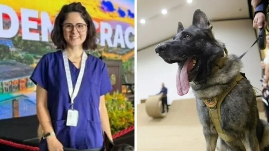 Veterinária atacada por cão do Senado morre após quatro dias internada