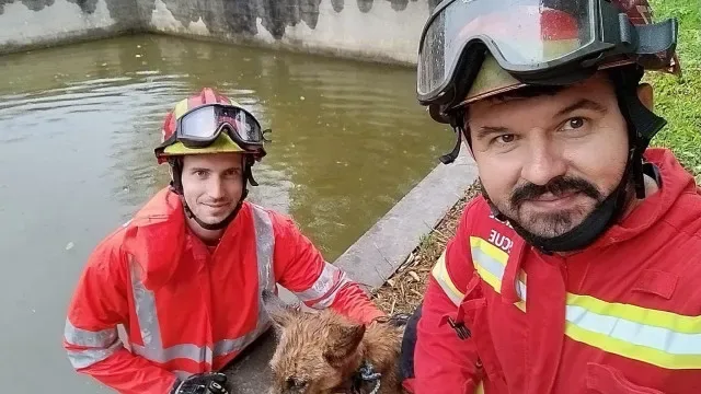 Bombeiros de Esposende salvam dois cães em menos de 48h. "Dedicação"
