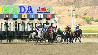 La Rinconada: Partió mal y ahora solicitan los servicios de jinete ganador Grado 1 para sorprender en la primera válida