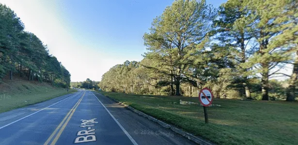 Mais de 20 cães mortos são encontrados em terreno no interior de SC