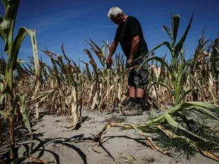 Sécheresse historique des sols : une seule journée de pluie enregistrée à l’échelle de la France depuis le 1er septembre