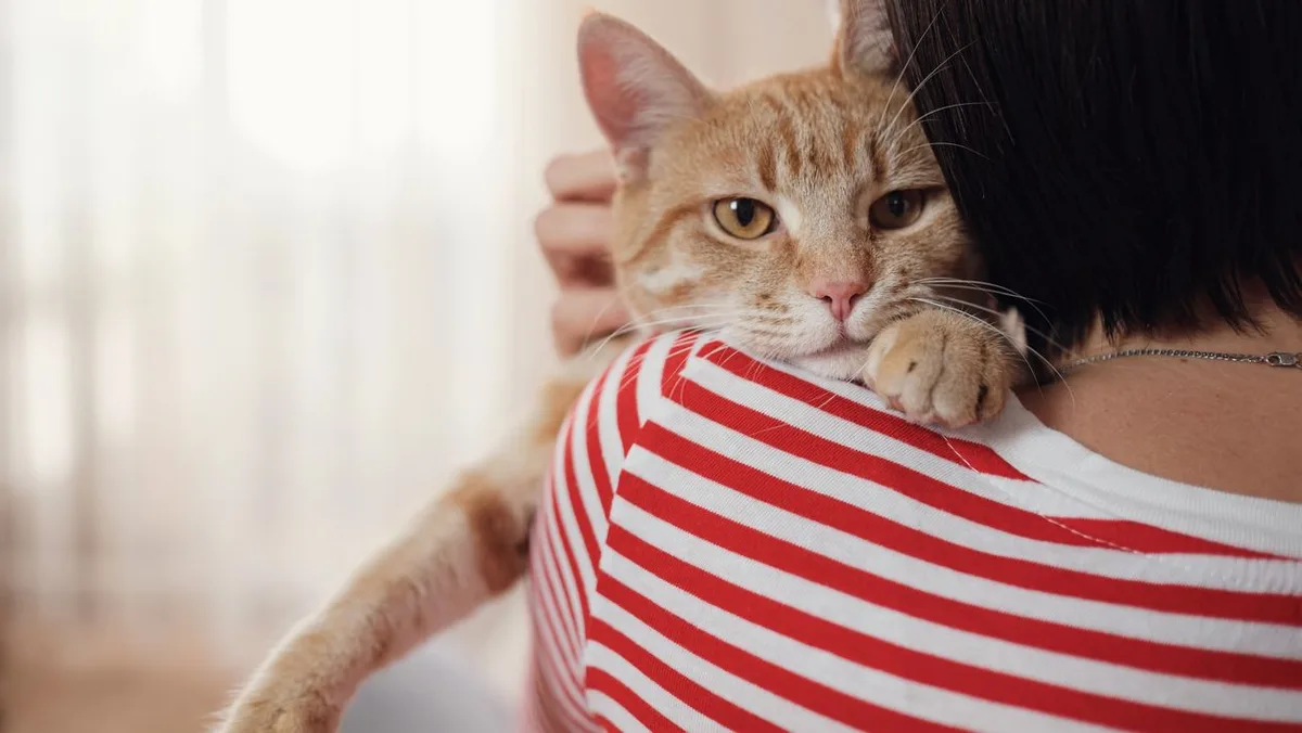 Los psicólogos coinciden: los gatos nos prestan más atención cuando les hablamos como si fueran bebés