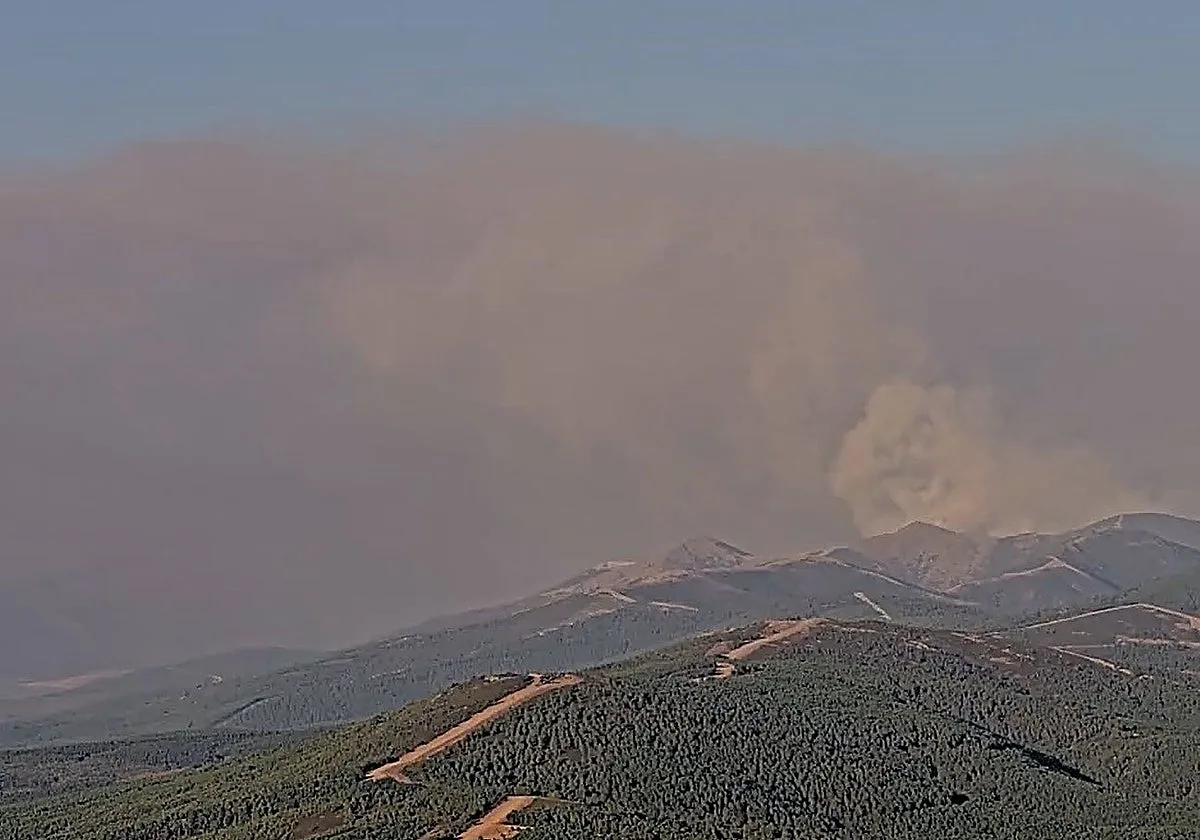«Controlados» los dos focos del incendio Cáceres que han saltado a Salamanca