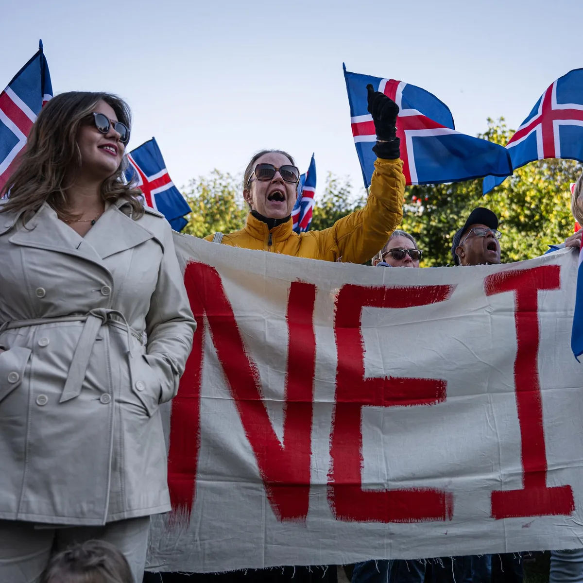Referendum - Isländer sprechen sich gegen Wiederaufnahme von EU-Beitrittsverhandlungen aus