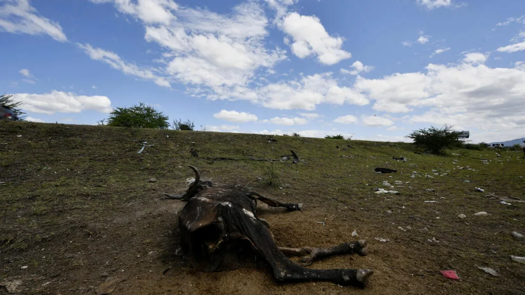 El Niño avança e deve atingir força máxima em dezembro, alerta Organização Meteorológica Mundial
