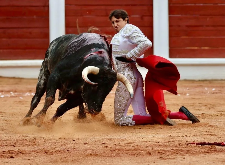 La raza de Roca Rey arrolla en Gijón