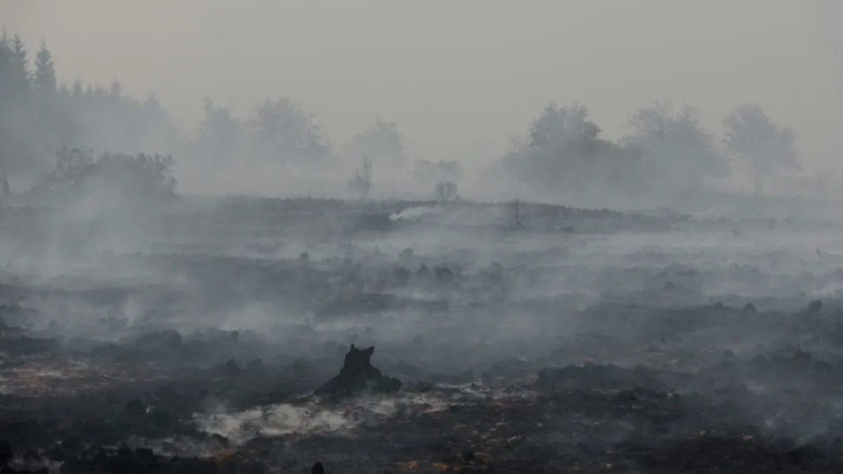 Brand in Belgien: Feuer breitet sich nicht mehr in Richtung Deutschland aus