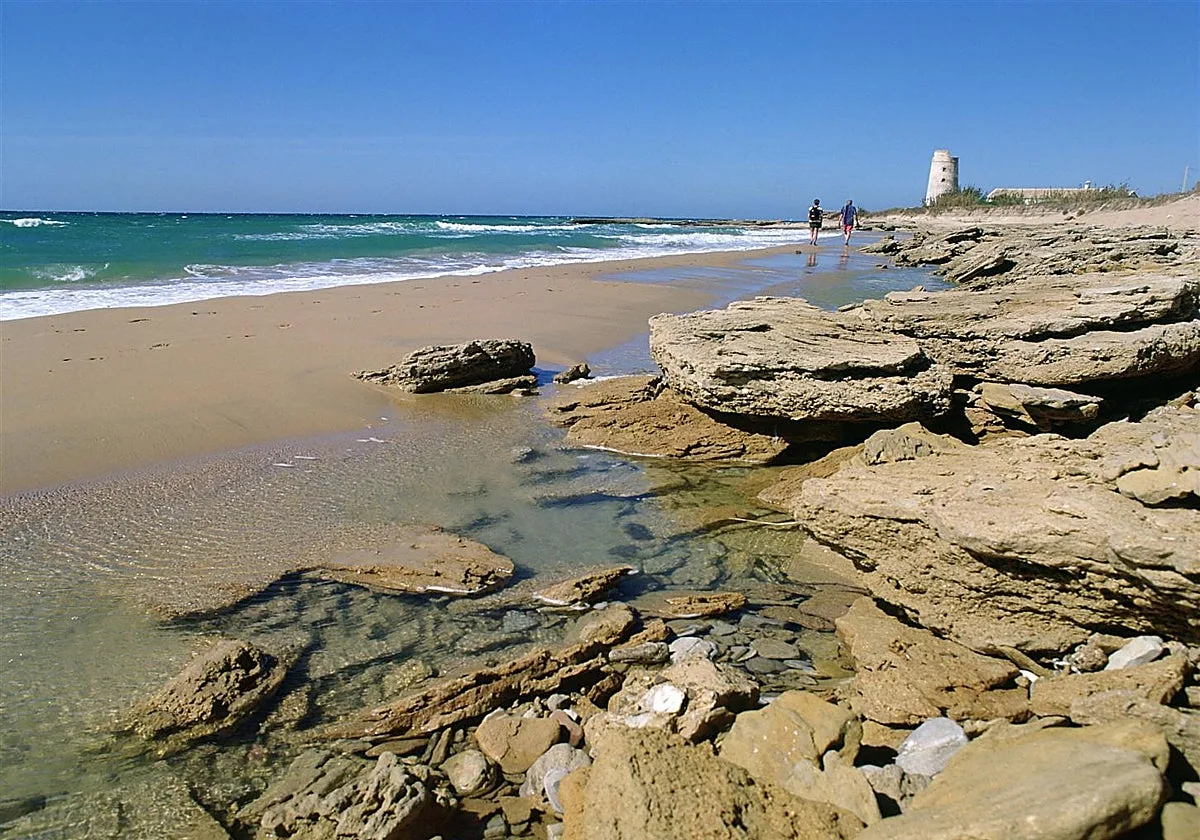 La playa andaluza perfecta para despedir agosto: poca masificación, chiringuitos cercanos y agua clara
