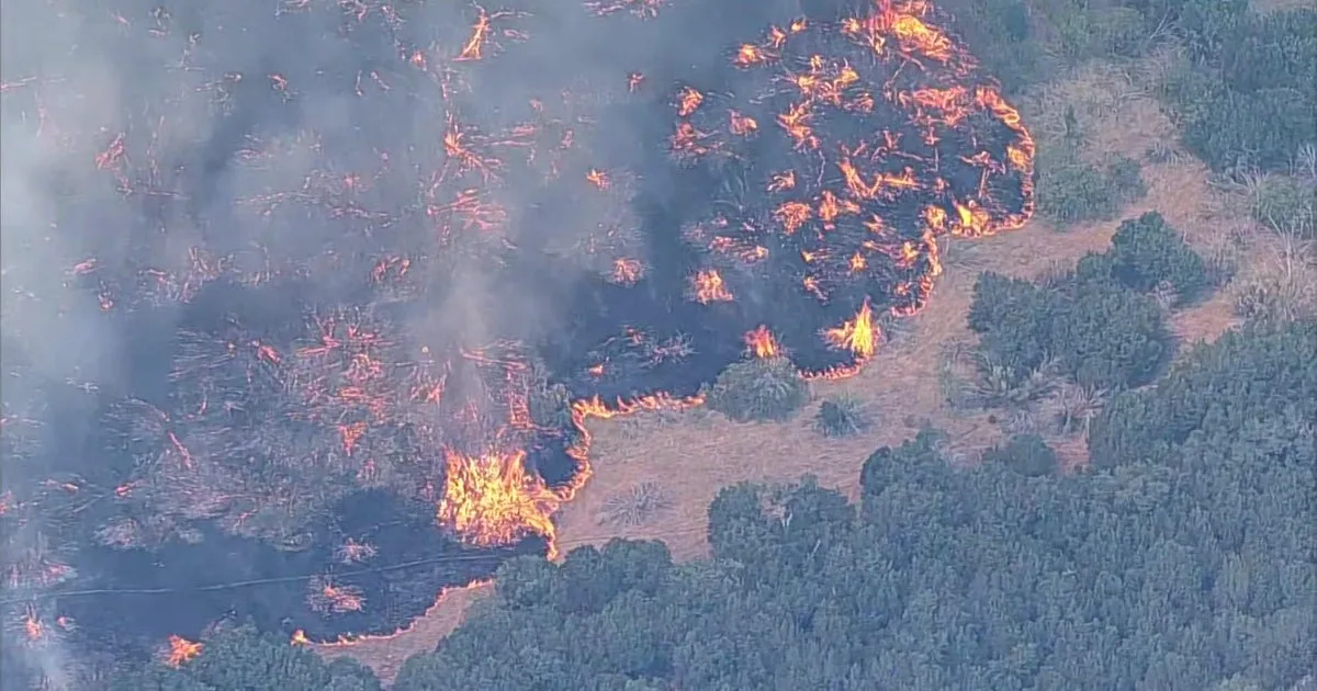 Ross Fire explodes to over 50,000 acres, forces evacuations in North Texas