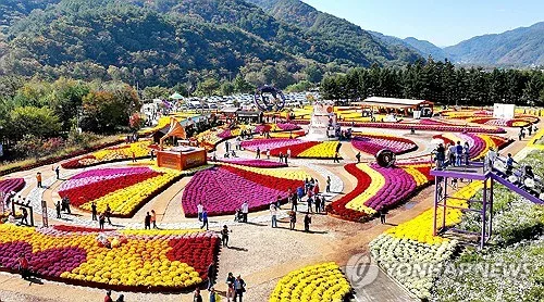 인제 가을꽃축제 34만명 발길…농특산물 판매로 지역경제 '활짝'