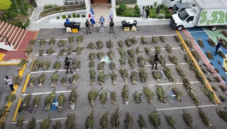 Autoridades dominicanas desmantelan dos cultivos con 5,364 plantas de presunta marihuana en Azua