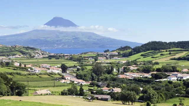 Governo dos Açores culpa 16 IPSS por atraso em estudo sobre custos