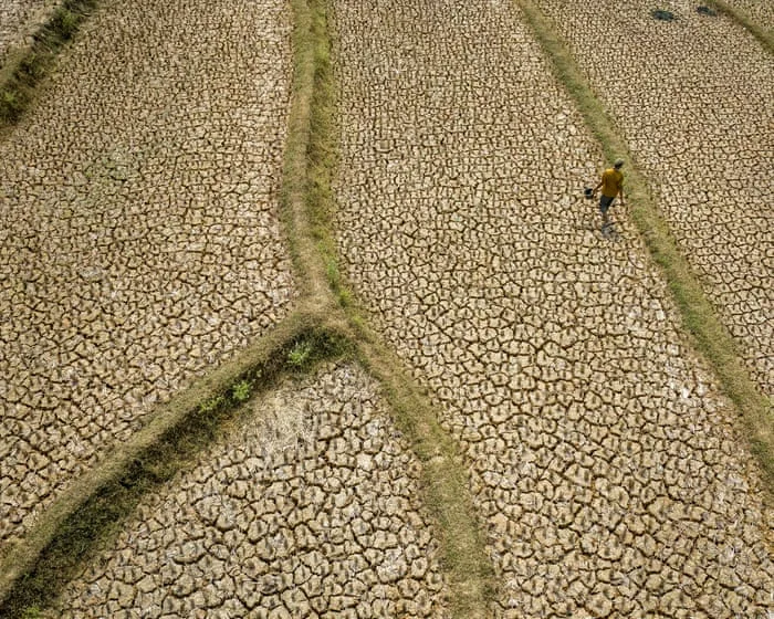 ‘Forcing a reckoning’: How Asia is preparing for a ‘supersized’ El Niño