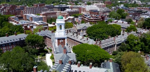 Harvard: US-Universität zahlt Millionenabfindung für Handel mit Leichenteilen