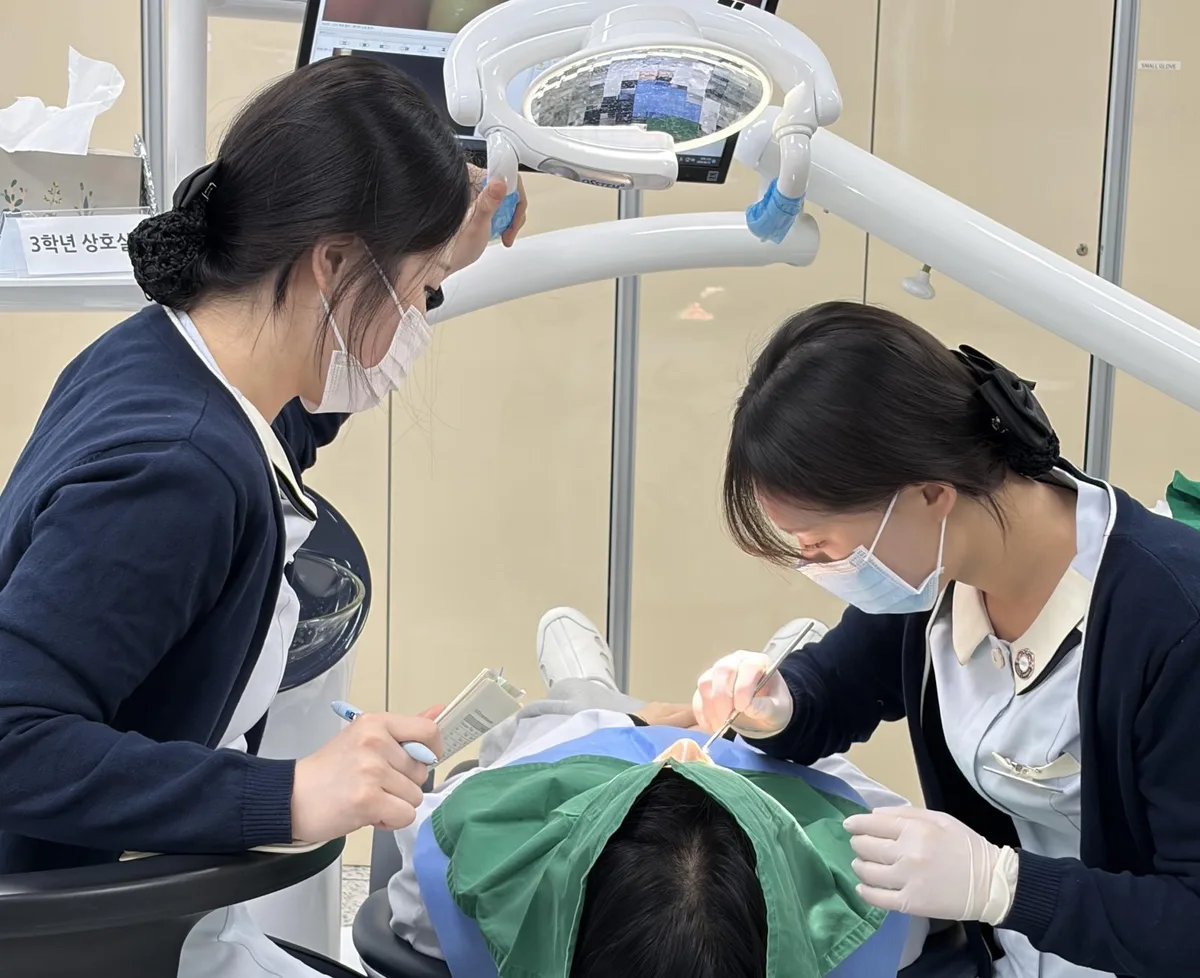 한 임플란트 치과서 8개월새 2명 사망…강남구청 “뉴스 보고 인지…제도 개선 건의할 것”