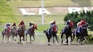 Un Nuevo Medaglia D'Oro debuta este domingo en la Rinconada