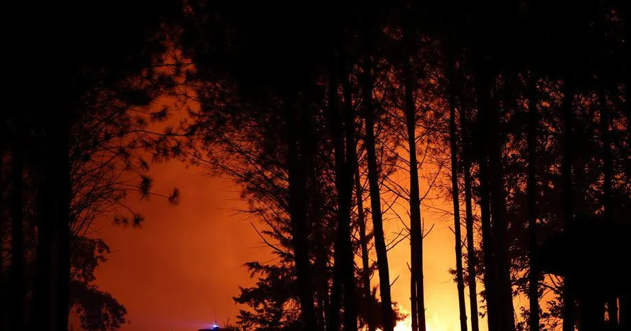 Climat. Incendies : plus de 600 hectares partis en fumée dans les Landes, 75 départements en vigilance orange canicule ce vendredi