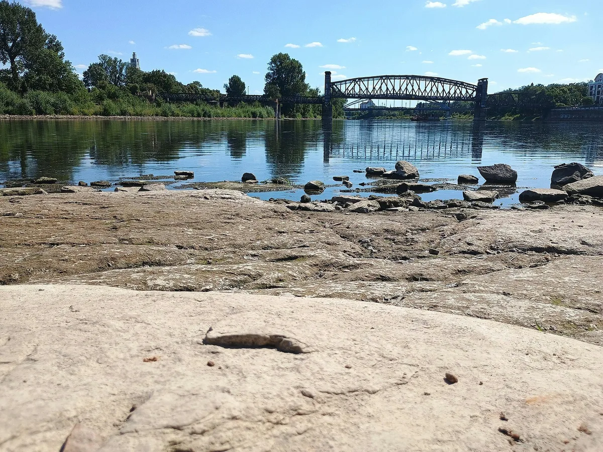 Data centres and democratic decline could lead to more water conflict in the future