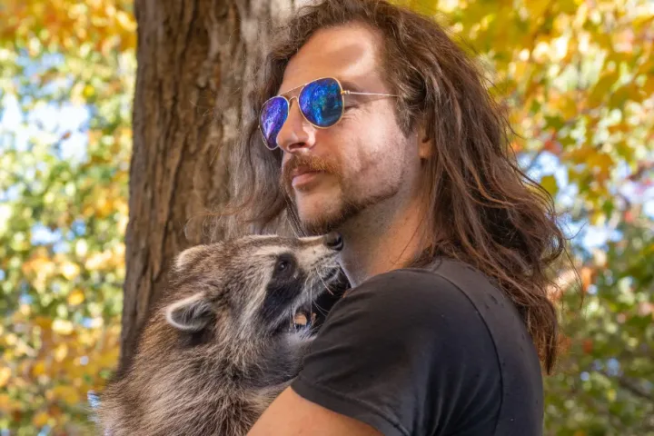 Montreal man fights charges after rescuing baby raccoon ‘Pepper’ that bonded to him