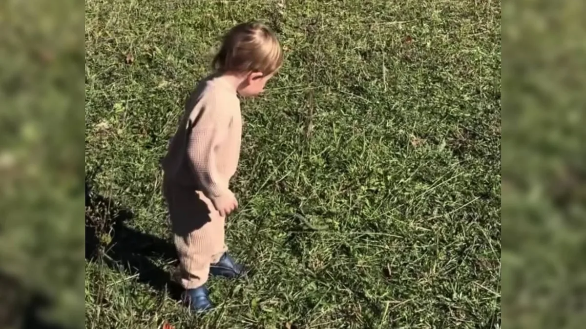 Ontario toddler survives rattlesnake bite, partly thanks to 18 doses of antivenom