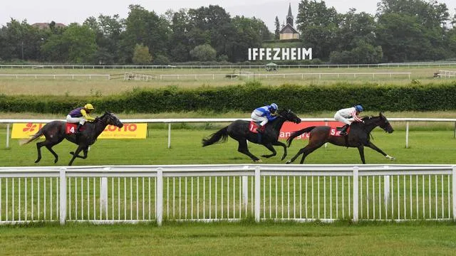 Pferderennen: Hengst Holguin gewinnt Goldene Peitsche in Iffezheim