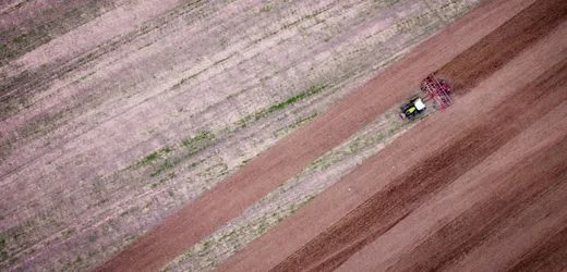 Hitze in Deutschland: Bauernverband warnt vor »totalem Ernteausfall« in einigen Regionen