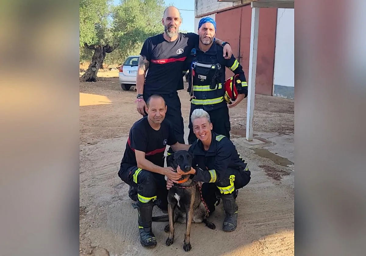 Bomberos de La Carlota rescatan a una perra que cayó a un pozo de 25 metros en Córdoba