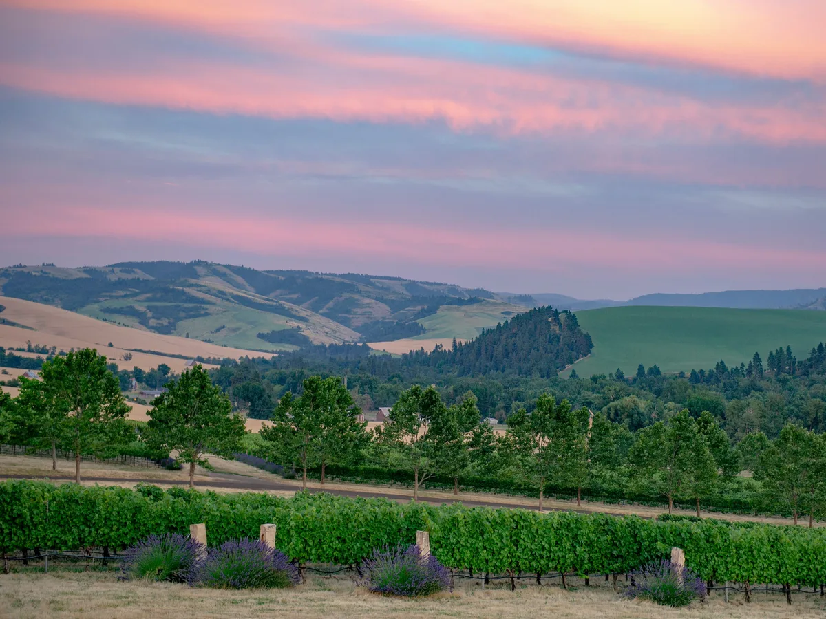 I thought Napa was the gold standard for wine trips. Then, a city in Washington changed what I look for in a vacation.