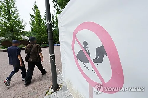 삼척 비둘기 먹이주기 금지 19곳…위반 시 과태료 100만원