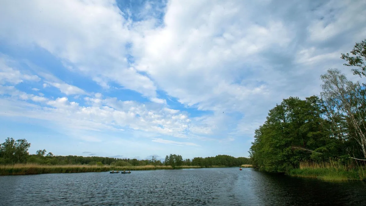 Mecklenburg-Vorpommern: Auto mit Skelettteilen in Fluss entdeckt – Vermisstenfall von 1994 geklärt?