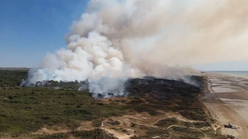 Pas-de-Calais: les incendies d'Hardelot et de Dannes désormais éteints, l'enquête sur l'origine de ces départs de feu se poursuit