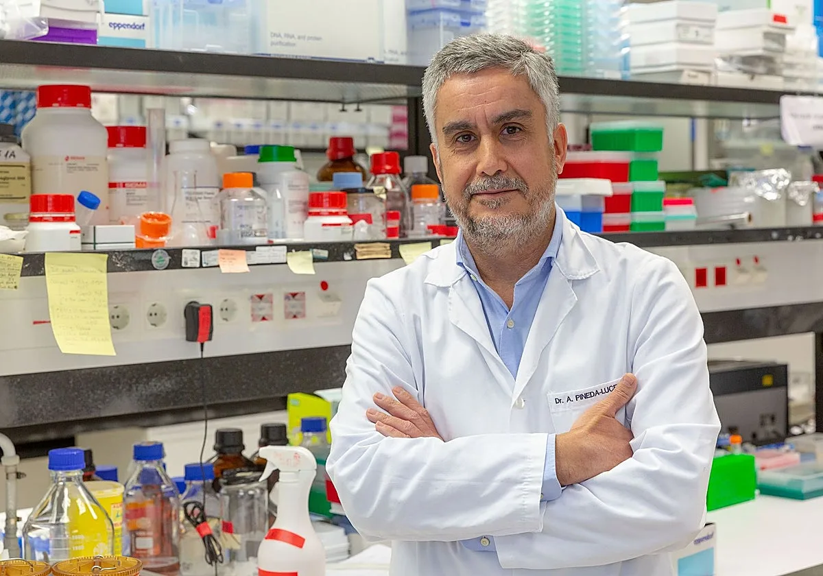 Antonio Pineda-Lucena: «Es importante para el investigador escuchar y para el paciente de cáncer sentirse escuchado»