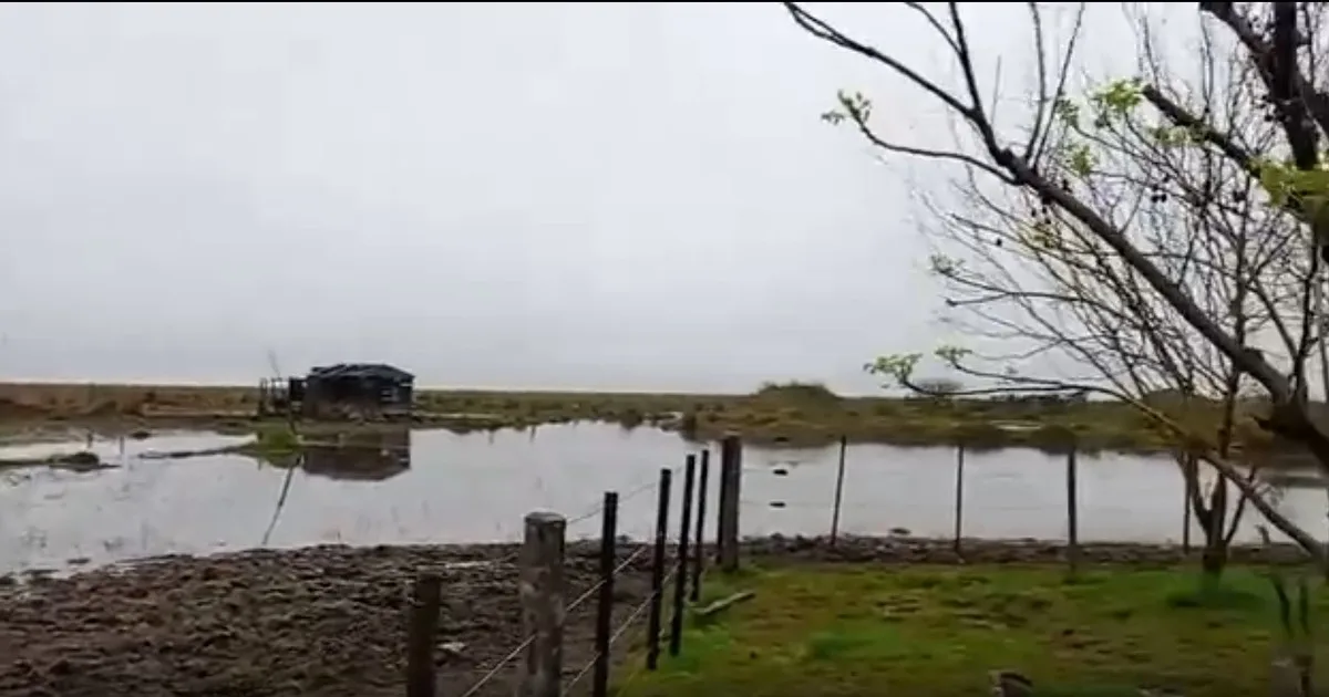 "Catástrofe anunciada": por las inundaciones solo pueden salir de los campos en canoas, a caballo o en tractor