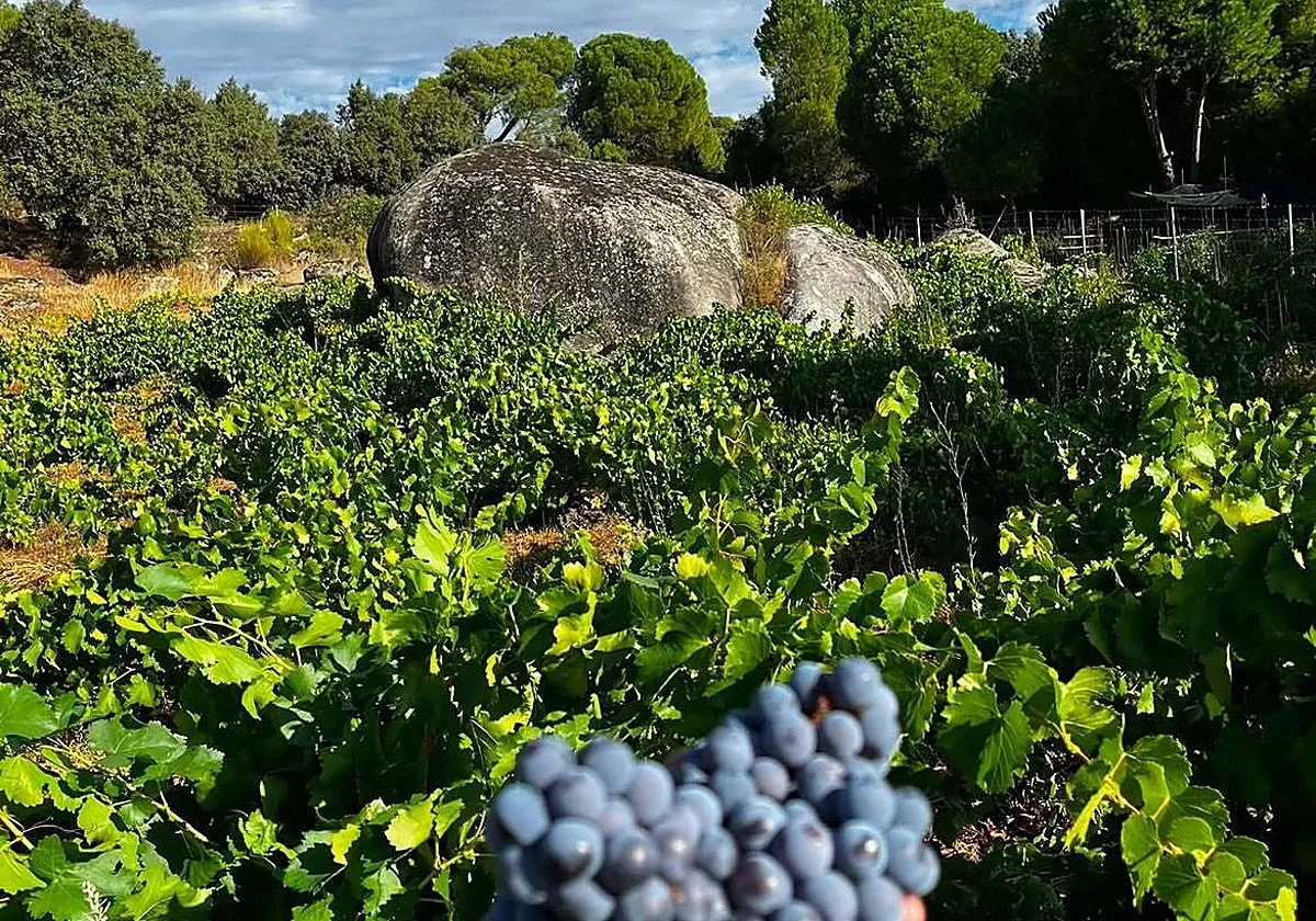 Las Primas, artesanía familiar desde Gredos