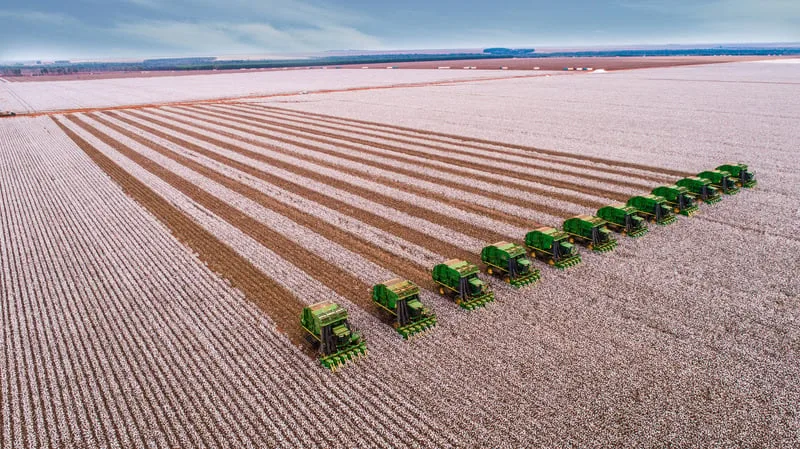 SLC Agrícola registra receita recorde de R$ 2,2 bilhões e amplia lucro líquido em 75%