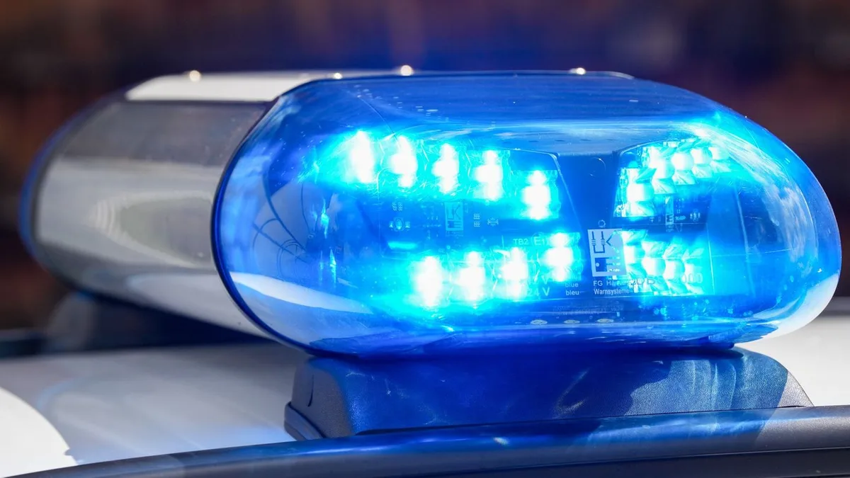 Unfall: Maulwurf und Marder werden Motorradfahrer zum Verhängnis