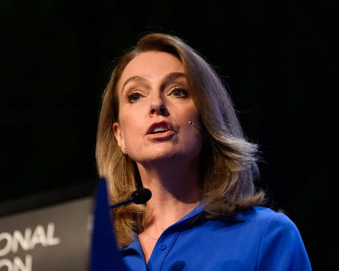 ‘Stunning backflip’: NSW opposition criticised for pledge to scrap gun buyback scheme if elected