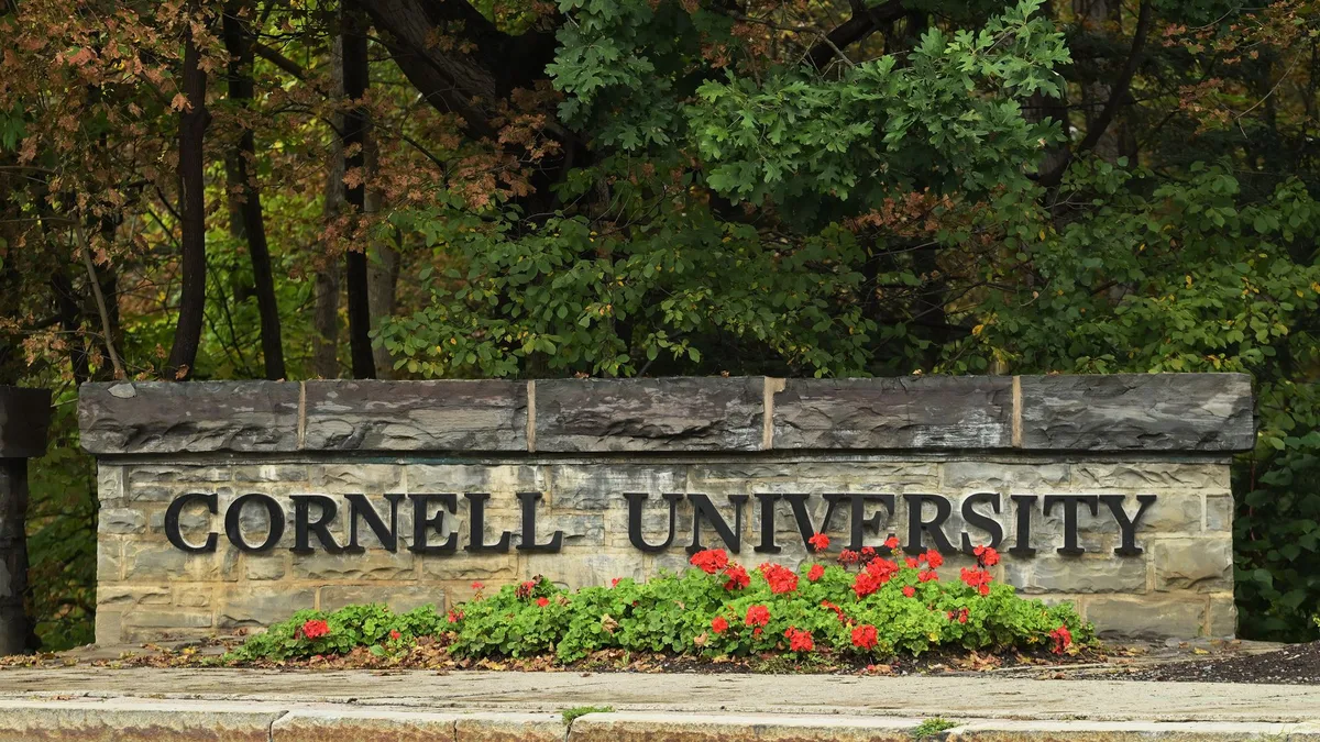 'A movement for true change': Cornell University professor speaks out