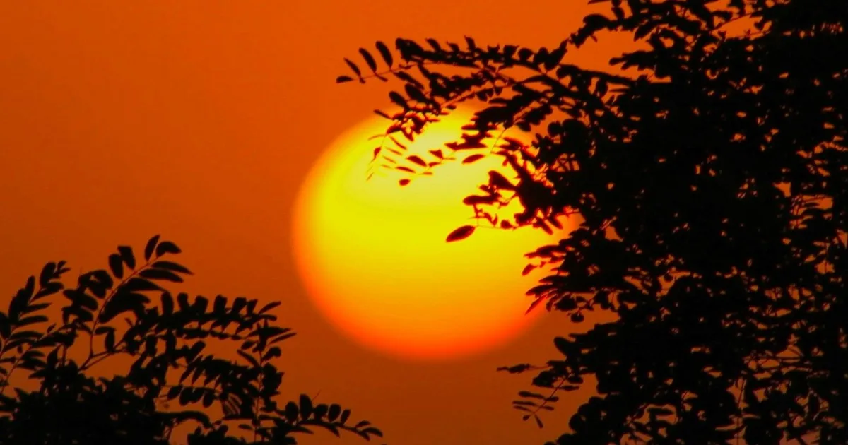 Clima hoy en Santa Cruz de la Sierra, Bolivia: el pronóstico del tiempo para este viernes 28 agosto de 2026