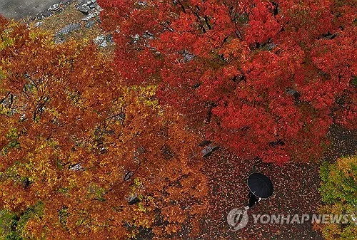 대구·경북 일교차 큰 날씨…낮 최고 22∼26도