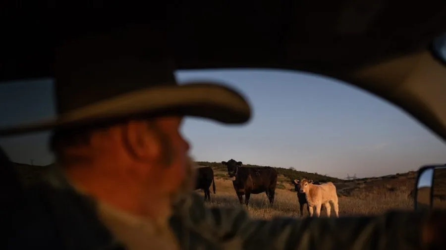 Trump reputation with ranchers has 'taken a hit': US Cattlemen's Association chief