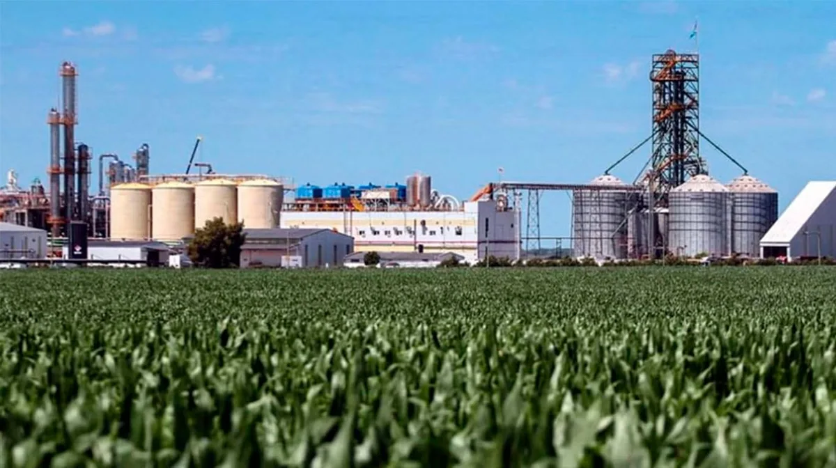Los biocombustibles se consolidan como un nuevo motor para la demanda de soja y de maíz