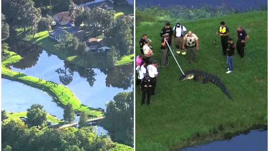 Pescaba en un parque de Florida cuando fue sorprendido por un caimán que lo arrastró al fondo del lago