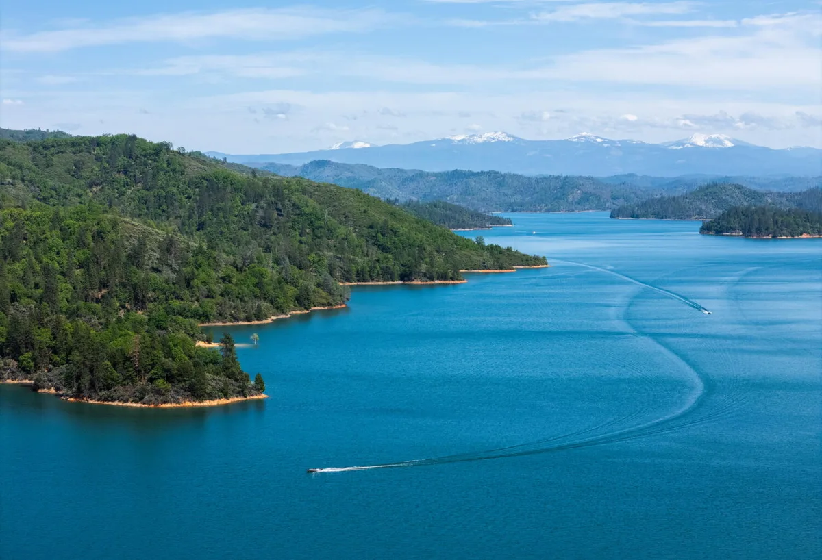 Dog leaps into Shasta Lake and man jumps in to save it. Dog survives, but the man does not